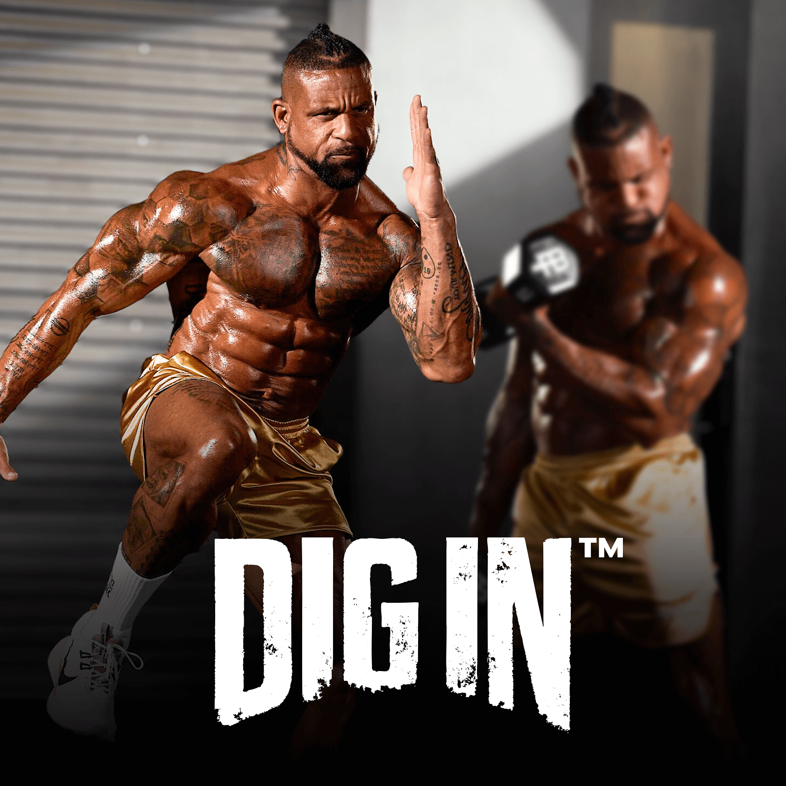DIG IN